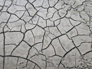 Climate whiplash effects: What are the worst impacts?