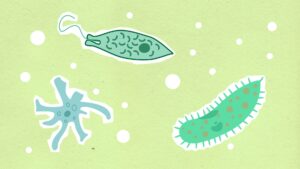 deep-sea microbes