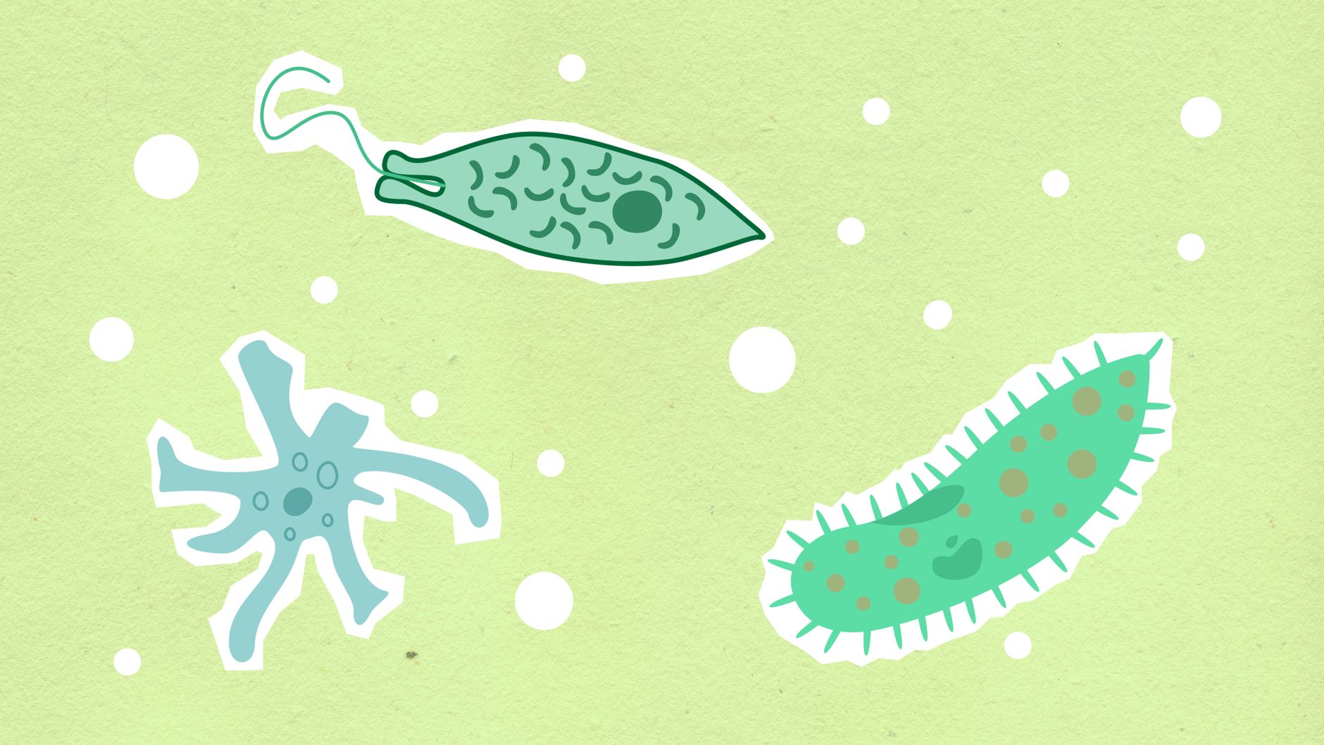 deep-sea microbes
