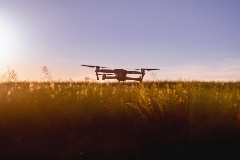 Insect-inspired drone technology: Proven ways to fly in thin air